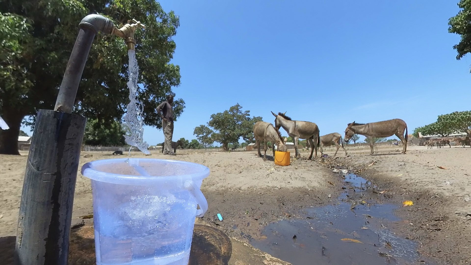 Man Frustrated Over 38 Years Non-Approval of Water Application by NAWEC