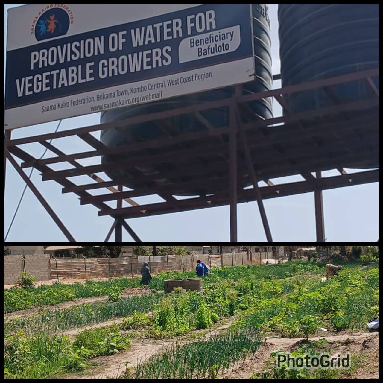 Gambia: Women Gardeners Appreciative of ChildFund Borehole Project, Appeal for More Support –