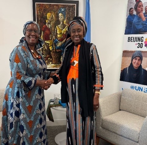 Gambia: UN Women Lauds Gambia’s Bold Efforts to Combat FGM, Pledges Continued Support for Women’s Rights –